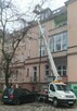 Wycinka pielęgnacja drzew ściąganie jemioły usuwanie posuszu - 2