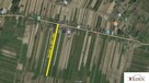 Działka rolno-budowlana Sięciaszka Pierwsza gm. Łuków - 2
