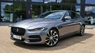 Jaguar XE 2.0D I4 204 KM AWD Auto SE 2023 EigerGrey SalonPL FV23% - 3