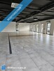 Lokal użytkowy z dużą działką - 2