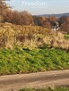 Atrakcyjna działka o pow. 0,74 ha na sprzedaż - 7