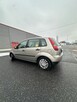 Ford Fiesta - 3