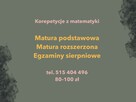 Korepetycje z matematyki online – 8 klasa i liceum