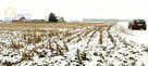 Działka rolna Leonów gm. Nowa Sucha, - 4