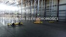 Lokal użytkowy Skierniewice - 3