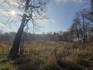 Działka przemysłowa Duchnów gm. Wiązowna, Leśny Zakątek - 8