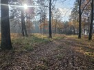 Działka przemysłowa Duchnów gm. Wiązowna, Leśny Zakątek - 13