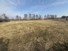 Działka siedliskowa Zielonki - 1