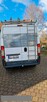 Peugeot Boxer Czysty zadbany nie zniszczony. - 3