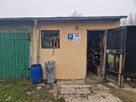 Lokal mieszkalny - Borki - 9