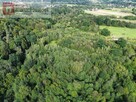 Działka leśna Wola Radziszowska gm. Skawina - 2