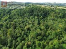 Działka leśna Wola Radziszowska gm. Skawina - 3