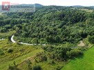 Działka leśna Wola Radziszowska gm. Skawina - 4