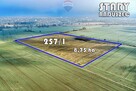 Na sprzedaż grunty orne RIIIa 8,75 ha - 5