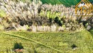 Działka budowlana Pogórska Wola gm. Skrzyszów - 4