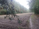 Działka budowlana Sobień gm. Aleksandrów Łódzki - 6