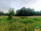 Działka rolno-budowlana Uwieliny gm. Prażmów - 6