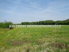 Działka Jastrzębnik gm. Żabia Wola - 2