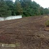 Działka 4300m2 Blok Dobryszyce ul. Zielona - 3