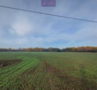 Działka Jastrzębia gm. Gostynin - 5