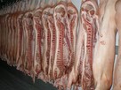 Półtusze wieprzowe 50-55 KG