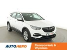 Opel Grandland X PDC LED tempomat Bluetooth - 10