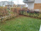 ✅Sprawdź >>>nowoczesne 2 pokoje, ogródek✅ - 7