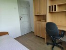 pokój 1-osobowy / centrum Gliwic - 1
