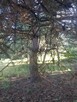 Sprzedam - 3