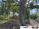 Działka siedliskowa 1,4 ha koło Radzymina - 6