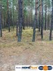 Działka leśna 2,31 ha, w Łosie koło Radzymina - 2