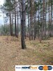 Działka leśna 2,31 ha, w Łosie koło Radzymina - 3