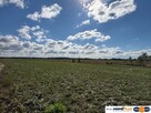 Działka pod Twój dom na łonie natury blisko W-wy - 4