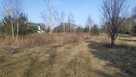 Działka budowlana Lubiejew gm. Sochaczew, - 2