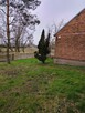 Sprzedam działkę z domem, 35 ar - 6