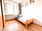 4300 ALL | Pet friendly | 4pok | Balkon | ENG - 4