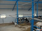 Dojarka przewodowa Westfalia - używana z montażem - 5