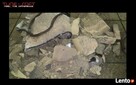 Usuwanie filtra cząstek stałych FAP / DPF Lublin - 6