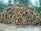 drewno kominkowe i opałowe - 1