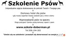 Szkolenie psów Głogów - SZKOŁA DOBERMAN - 2