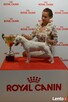 Salon dla zwierząt SPA 4 DOG - Jelcz-Laskowice - 7