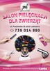 Salon dla zwierząt SPA 4 DOG - Jelcz-Laskowice - 4