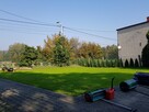 Wyrównanie terenu, Trawnik z siewu i rolki. OGRODNIK - 6