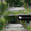 Podnoszenie zapadniętych pomników, ramy drewniane na cmentar - 2