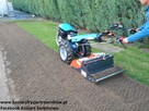 Zakładanie trawnika z rolki siewu łąki kwietnej Koszalin - 5