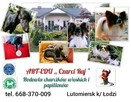 Reproduktor FCI - papillon KRYCIE!!! - 6