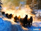 Tani wypad w góry na narty-grupy zniżki. - 8