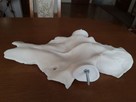 Czaszka pod poroże, zrzuty łosia - 5