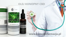 OLEJ CBD 5% ESSENZ DECARBOXYLATED - 15 ML