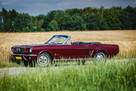 Ford Mustang `66 Cabrio - 1